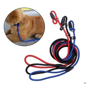 Colliers pour chiens Laux Pet Nylon Collier réglable LOP LOOT LOOT SLIP LEAH CORDE PETIT SLETTLE TILLE BLUE ROUGE BLUE COLOR1832835 DROP DEVR DH2ON