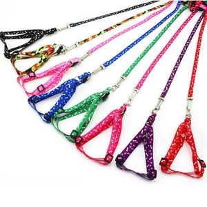 Verstelbare nylon honden riemen en harnas ingesteld voor kleine honden kleurrijke bedrukte honden borstbanden tractie touw voor huisdierenriem riem