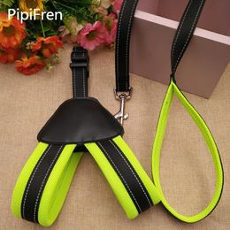 Halsboorden Leidingen Pipifen Grote Honden Harness Leash voor kleine huisdieren Vest Katten Kraag Levert Nylon Labrador Accessoires Laisse Giet Chie