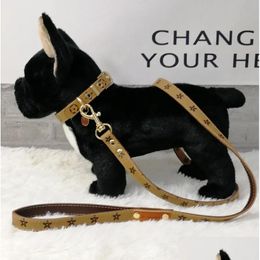 Halsbanden Kwaliteit Hand vasthouden Touw Verziend Mticolor Lederen halsband voor huisdieren Tractie Handen vasthouden Pakbenodigdheden Drop De Dhmma