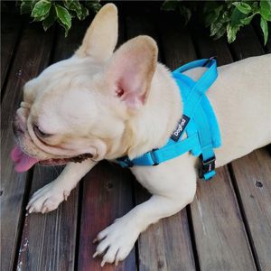 Dog Collars Riemen Quick Fit Harnas Zachte voering Reflecterende Verstelbare Pet Vest Back / Front Clip voor Easy Control