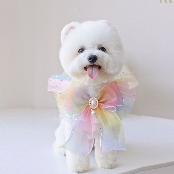 Colliers pour chiens Laisses Arc-en-ciel Perle Collier pour chien Organza Bijoux Tulle Chat Chiot Ruban Écharpe Pendentif Pet Arcs Collier Satin Chaton Noeud Papillon Cadeau 230719