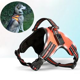 Colliers de chien Laisses Harnais LED rechargeable pour animaux de compagnie Chien Tailup Nylon LED Clignotant Lumière Harnais de chien Collier de sécurité pour animaux de compagnie Laisse Ceinture Accessoires pour chiens 231129