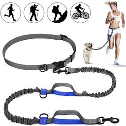 Halsbanden Riemen Reflecterende Leash Trekkabel Pet Running Riem Elastische Handen Vrij Jogging Pull Metalen D ring 230719