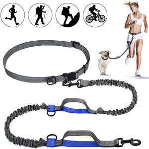 Dog Collars Leashes Reflective Leash Traction Rope Pet Dog Running Belt Elastic Hands Freely Jogging Pull Dog Leash Metal D-ring Leashes 230613