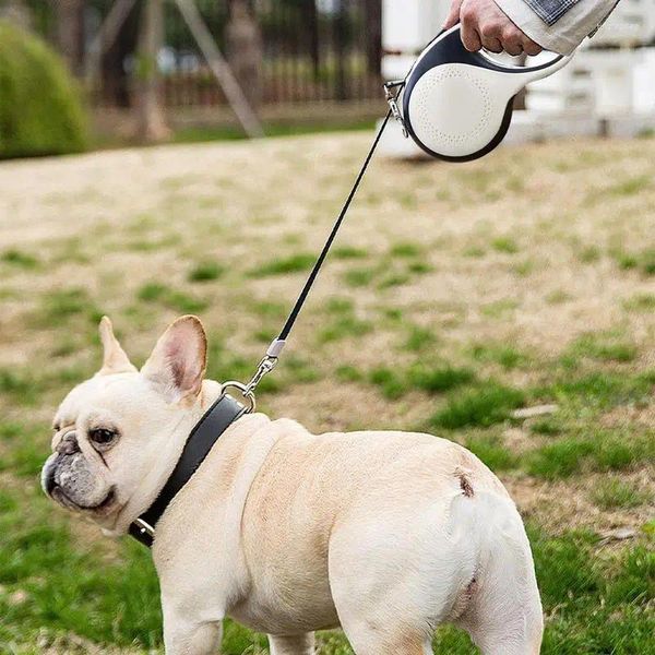 Collares para perros Correas retráctiles con luz para cachorros que caminan y corren correas ligeras para collar de cuerda para tracción de mascotas