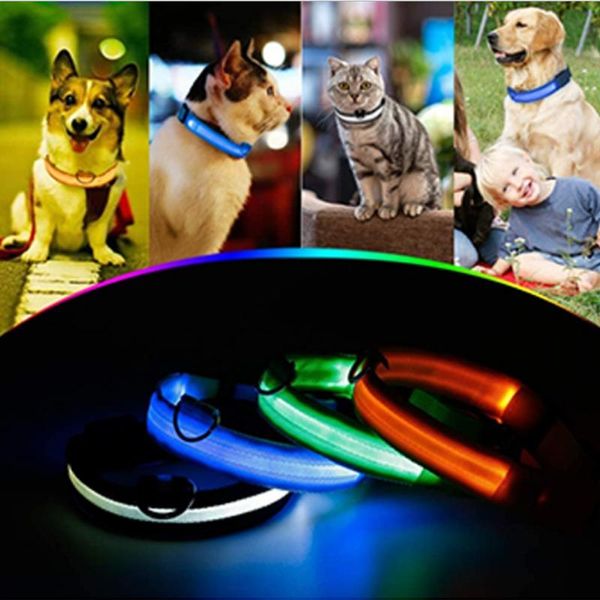 Collares para perros Correas Brillantes para mascotas Luz LED Intermitente Cinturón de tracción Ajustable Recargable Con USB Perros Banda para el cuello LightDog