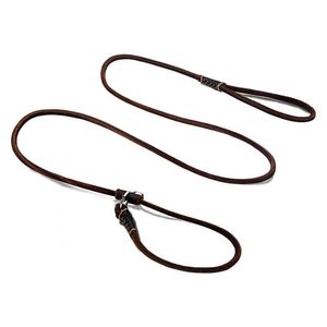 Halsbanden Riemen Slip Leash Zachte Dunne Handgemaakte Lederen Huisdier Puppy Keten Halsband voor Kleine Middelgrote Honden Training Wandelen Z0609