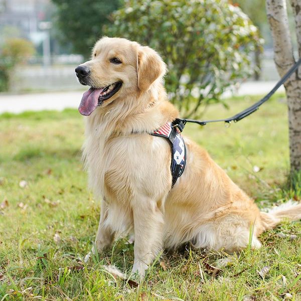 Colliers pour chiens laisses harnais souple gilet bande réfléchissante maille respirante laisse pour chiens de compagnie pour la marche