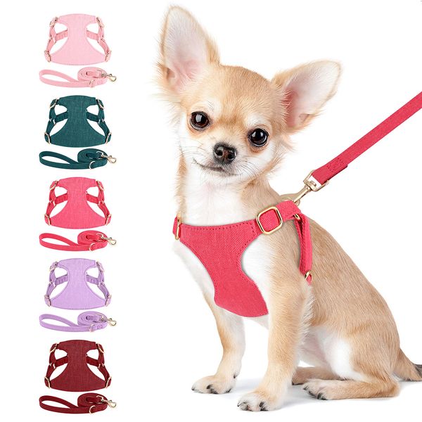 Collares para perros Correas Perros pequeños y suaves Arnés Conjunto de correas Chaleco ajustable de alta calidad para cachorros para chihuahua yorkie con raya de plomo para caminar de 150 cm 230921