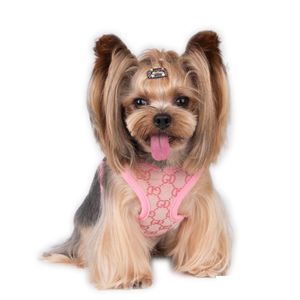 Ensemble de laisses de harnais pour chien Step-in, gilet pour animaux de compagnie de styliste, lettrage jacquard classique, harnais pour chien en maille à air doux pour petits chiens, chat, tasse à thé, chiots Shih Tzu, kaki L