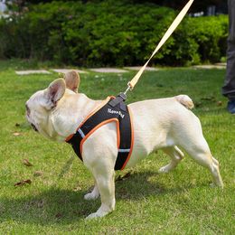 Collares para perros correas verano fino pecho arnés Correa traje perros pequeños-medianos a prueba de explosiones mascota viaje al aire libre entrenamiento WalkingDog