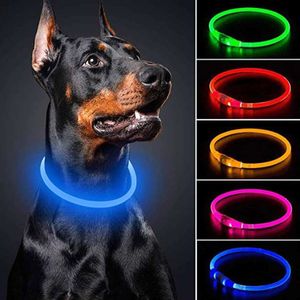 Colliers de chien Laisses USB Charge Collier de chien lumineux Led nuit batterie lumineuse prévention de la perte de chien accessoires pour chiots fournitures Articles pour animaux de compagnie 230428