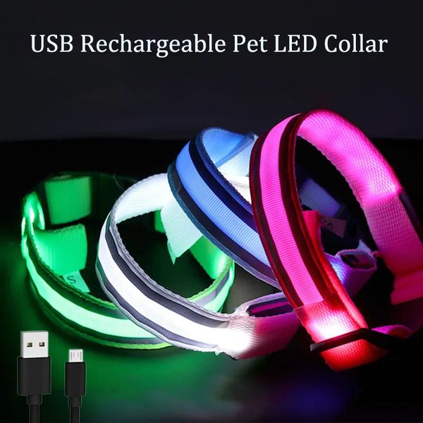 Colliers de chien laisses USB charge collier de chien émettant de la lumière en nylon réfléchissant LED pour la sécurité nocturne 231117