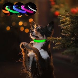 Hondenkragen ontleen aan USB LADING LED LED KRAAK LIMINE NILLACE PET LICHT UP NYLON MATERIAL Gloeiende leads voor honden Night SafetyDog