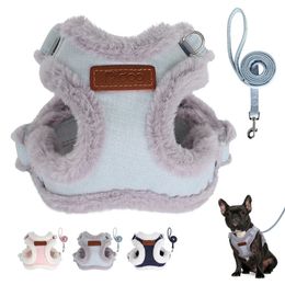 Colliers pour chiens Laisses Ensemble harnais et laisse pour chien rembourré chaud petits chiens moyens harnais de gilet pour chat avec laisse pour animaux de compagnie Chihuahua Yorkshire polaire douce 231212