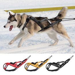 Colliers pour chiens Laisses Harnais de traîneau à chiens imperméable Harnais de skijoring pour animaux de compagnie réfléchissant Harnais de skijoring Grands chiens de grande taille Gilet de traction pour animaux de compagnie T221212