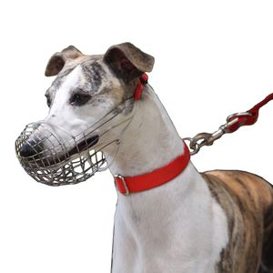 Halsbanden Riemen Draadmand Muilkorf voor Greyhound Verstelbaar Roestvrij Staal Kleine Middelgrote Grote Honden 230609