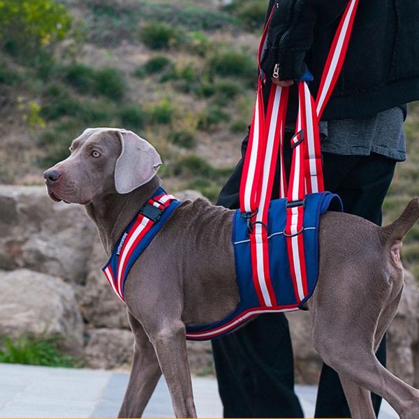 Colliers pour chiens Laisses YOUZI Harnais de levage pour chien Harnais réglable et rembourré pour animaux de compagnie Jambes arrière arrière Aide au levage du chien Porte-élingue pour petits, moyens et grands chiens 230911