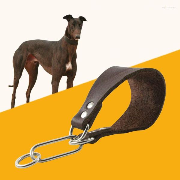 Colliers de chien collier en cuir extra large cachette rembourrée pipi à la grishound saluki deerhound lurcher whippet teckel