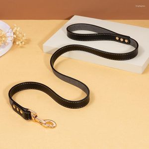 Hondenkragen Lederen riem riem zwart pu huisdier lood mode luxe sterk buitentraining touw voor middelgrote grote honden productitem