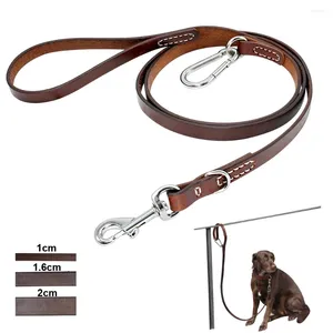 Colliers de chien en cuir pitbull laisse durable grand en laisse avec boucle millétulaire