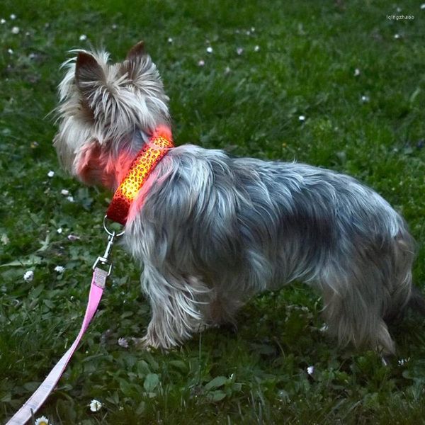 Halsbanden LED-halsband Verstelbaar Lichtgevende USB-kat 3 modi Licht Gloeiend Anti-verloren Nacht Puppy Pet Walking Device