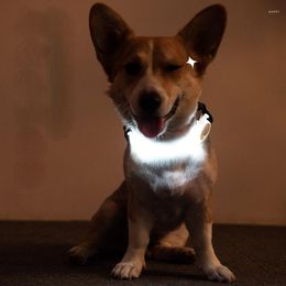 Colliers de chien collier LED sangles lumineuses colorées voyant d'avertissement adapté à la sécurité nocturne en cours d'exécution accessoires de corde de Traction