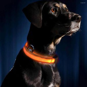 Colliers pour chiens collier LED clignotant brillant USB Rechargeable lumineux sécurité veilleuse permet à vos chiens bien-aimés d'être vus
