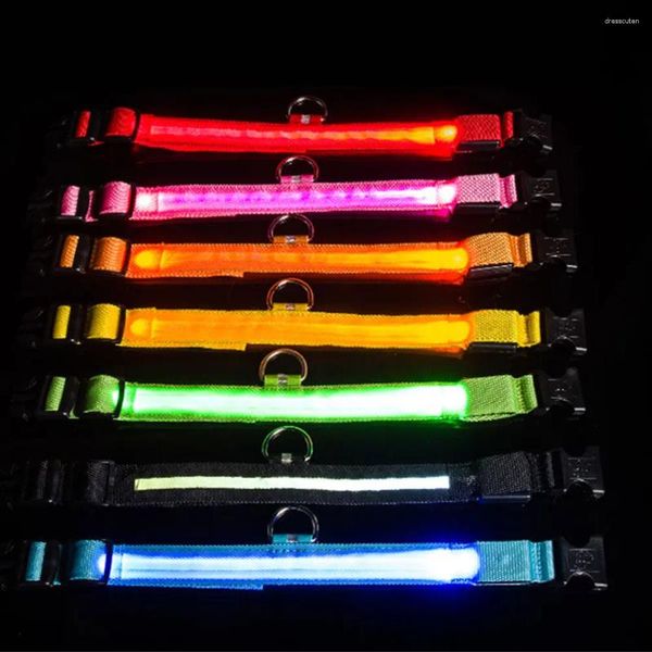 Colliers pour chiens collier LED brillant clignotant lumineux veilleuse de sécurité pour petits chiens de taille moyenne