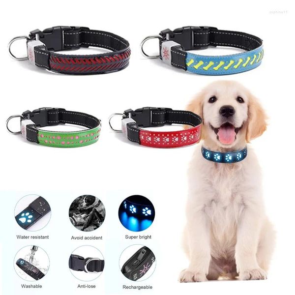 Colliers de chien collier LED Lumineux USB 3D Design Pet Pu Le cuir de cuir gravé Light Night Adjustable pour chiens