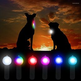 Collares para perros Collar LED Colgante Recargable Mascota USB Luminoso Flash Luz Correa Accesorios Collar de seguridad