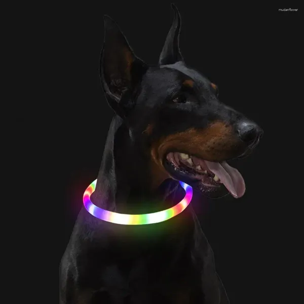 Collares para perros collar liderado impermeabilizado 4 modos de parpadeo USB recargable luminoso safe impermeable para perros accesorios