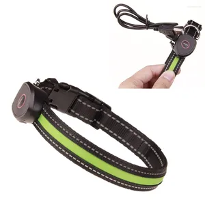 Colliers Led pour chiens, Rechargeable par USB, lumière scintillante pour animaux de compagnie, collier clignotant pour chiens, taille de sécurité pour la marche nocturne