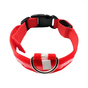 Halsbanden LED-halsband USB Oplaadbaar Veiligheidslicht Gloeiend huisdier voor met nylon accessoires