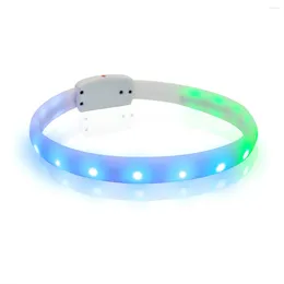 Collares para perros LED Collar de luz colorida Cortable A prueba de lluvia Recargable USB Seguro por la noche Anillo de silicona suave 65 cm