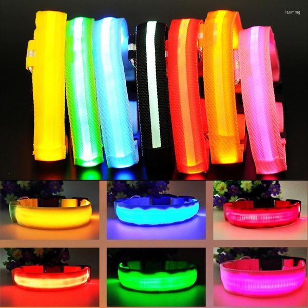 Colliers de chien Laisse et collier LED brillant 3 modes Corde pour animaux de compagnie Sécurité de nuit Laisse en nylon réglable pour petits chiens de taille moyenne s'allument