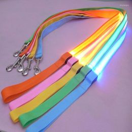 Colliers de chien corde de laisse Led avec plomb lumineux pour la sécurité clignotant collier lumineux accessoires de harnais Honden Lichtband