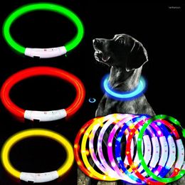 Colliers de chien Collier LED Light Anti-Lost Night Safet