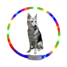 Colliers de chien Collier léger LED détachable USB incarnable Charge Lumineux pour Big Cat Small Bright Labrador Pets Dogs Products