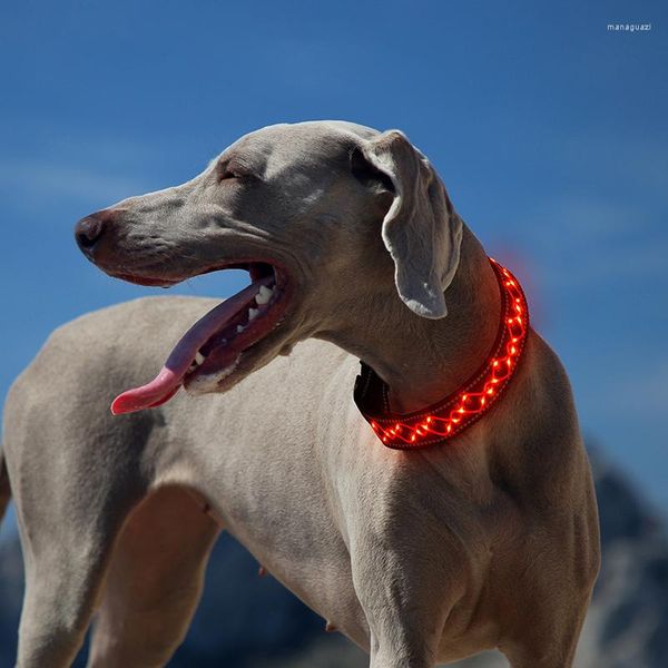 Collares para perros Collar de luz LED Desmontable que brilla intensamente Usb recargable Poliéster luminoso para perros Labrador brillante Productos para mascotas