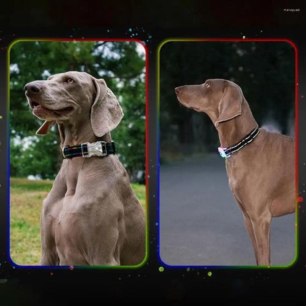 Collares para perros Collar con luz LED duradero para mascotas de seguridad nocturna con correa para el cuello brillante mediana