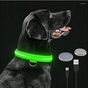 Hondenkragen LED LICHT Kraagavond Veiligheid Accessoires Luminous gloeiende elektronische nek Harness USB -lead voor Cat Puppy Pet Supplies Small