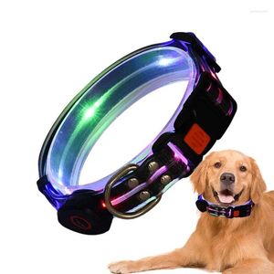 Collares para perros LED Light Collar recargable Petfila ajustable y prueba de tiempo ajustable