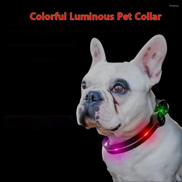 Los collares de perro LED encienden la correa y el resplandor impermeable recargable en la oscuridad con Reflectiv luminoso