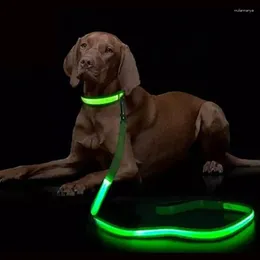 Colliers pour chiens, laisse lumineuse LED, pour la sécurité, clignotant, harnais, accessoires électroniques pour animaux de compagnie