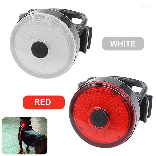 Colliers pour chiens lumières LED harnais pour animaux de compagnie collier accessoires éclairage marche nocturne sécurité chiot lumineux USB fournitures rechargeables