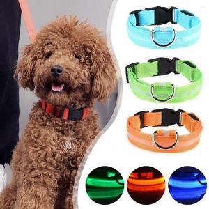 Colliers pour chiens LED collier lumineux Rechargeable étanche réglable fournitures pour animaux de compagnie lueur