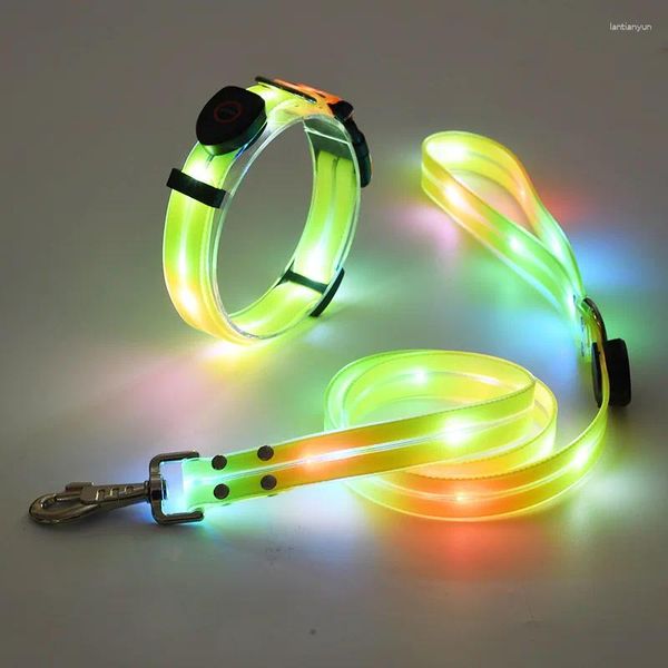 Les colliers de chiens ont conduit le col lumineux USB USB RECHARAGE PET NYLON PVC Wrap Rubber Blowbing Glow dans le Dark Lash