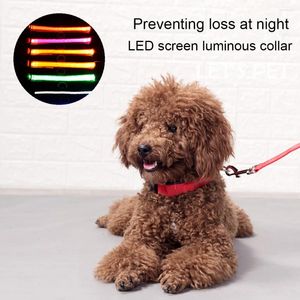 Collares para perros liderando collar luminoso impermeable y franja ajustable accesorios de advertencia de seguridad para parpadear productos para mascotas